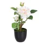 Plante décorative Polyester Polyéthylène Fer Rose 16 x 16 x 31 cm de BigBuy Home, Plantes artificielles - Réf : S8805893, Pri...