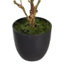 Planta Decorativa Poliéster Polietileno Hierro 25 x 25 x 49 cm Magnolia de BigBuy Home, Plantas - Ref: S8805897, Precio: 19,6...