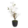 Decorative Plant Polyester Polyethylene Iron 30 x 30 x 60 cm Magnolia by BigBuy Home, Artificial Plants - Ref: S8805899, Pric...