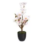 Planta Decorativa Poliéster Polietileno Hierro 30 x 30 x 60 cm Magnolia de BigBuy Home, Plantas - Ref: S8805900, Precio: 31,6...