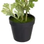 Plante décorative Polyester Polyéthylène Fer Fleur 12,5 x 12,5 x 37 cm de BigBuy Home, Plantes artificielles - Réf : S8805907...