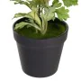 Planta Decorativa Poliéster Polietileno Ferro Flor 12,5 x 12,5 x 37 cm de BigBuy Home, Plantas - Ref: S8805908, Preço: 12,85 ...