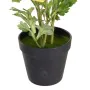 Planta Decorativa Poliéster Polietileno Ferro Flor 12,5 x 12,5 x 37 cm de BigBuy Home, Plantas - Ref: S8805909, Preço: 13,38 ...