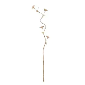 Rama Bege Flor 27 x 27 x 170 cm de BigBuy Home, Flores - Ref: S8805913, Preço: 13,06 €, Desconto: %