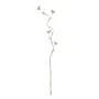 Branch Beige Flower 27 x 27 x 170 cm by BigBuy Home, Artificial Flowers - Ref: S8805913, Price: 13,06 €, Discount: %