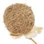 Branche Beige Fleur 8 x 8 x 156 cm de BigBuy Home, Fleurs artificielles - Réf : S8805923, Prix : 15,17 €, Remise : %