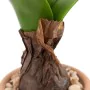 Plante décorative Polyester Polyéthylène Fer Mélamine 9,5 x 9,5 x 29 cm de BigBuy Home, Plantes artificielles - Réf : S880596...