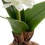 Decorative Plant Polyester Polyethylene Iron Melamin 9,5 x 9,5 x 29 cm by BigBuy Home, Artificial Plants - Ref: S8805965, Pri...