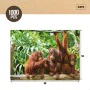 Puzzle Colorbaby Orangutan 6 Unités 68 x 50 x 0,1 cm de Colorbaby, Puzzles classiques - Réf : S8900396, Prix : 48,68 €, Remis...