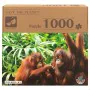 Puzzle Colorbaby Orangutan 6 Unités 68 x 50 x 0,1 cm de Colorbaby, Puzzles classiques - Réf : S8900396, Prix : 48,68 €, Remis...