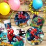 Party supply set Spider-Man 66 Pieces by Spider-Man, Party items - Ref: S8900940, Price: 19,69 €, Discount: %