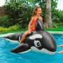 Inflatable pool figure Intex Whale 193 x 76 x 119 cm (6 Units) by Intex, Airbeds & Inflating Devices - Ref: S8901435, Price: ...