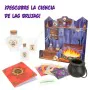 Science Game Lisciani La casa de las brujas ES (6 Units) by Lisciani, Sciences - Ref: S8903174, Price: 126,69 €, Discount: %