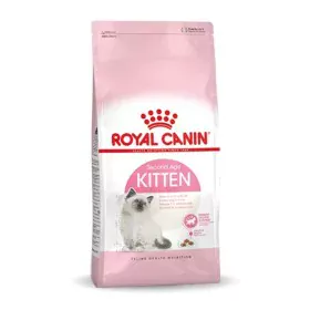 Comida para gato Royal Canin Kitten Arroz Pássaros 2 Kg de Royal Canin, Seca - Ref: S9105285, Preço: 30,07 €, Desconto: %