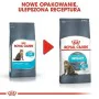 Cat food Royal Canin Urinary Care Adult Rice Birds 400 g by Royal Canin, Dry - Ref: S9105290, Price: 9,37 €, Discount: %