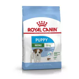 Nourriture Royal Canin Mini Puppy Petit/Junior Poulet Riz Oiseaux 2 Kg de Royal Canin, Sèche - Réf : S9105300, Prix : 17,39 €...