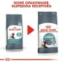 Aliments pour chat Royal Canin Hairball Care Adulte Poulet 400 g de Royal Canin, Sèche - Réf : S9105306, Prix : 9,16 €, Remis...