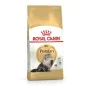 Katzenfutter Royal Canin Persian Erwachsener Mais Vögel 4 Kg von Royal Canin, Trocken - Ref: S9105331, Preis: 56,53 €, Rabatt: %