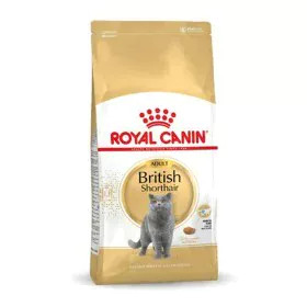 Cat food Royal Canin British Shorthair Adult Adult 4 Kg by Royal Canin, Dry - Ref: S9105334, Price: 54,89 €, Discount: %