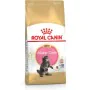 Aliments pour chat Royal Canin Maine Coon Kitten Poulet Riz Oiseaux 4 Kg de Royal Canin, Sèche - Réf : S9105337, Prix : 62,53...