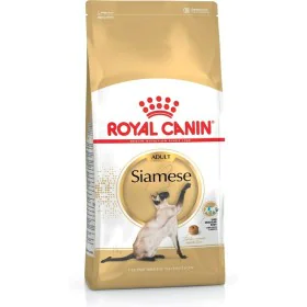 Cat food Royal Canin Siamese Adult Chicken Birds 2 Kg by Royal Canin, Dry - Ref: S9105343, Price: 35,11 €, Discount: %