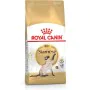 Comida para gato Royal Canin Siamese Adulto Frango Pássaros 2 Kg de Royal Canin, Seca - Ref: S9105343, Preço: 35,49 €, Descon...