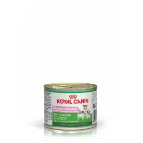 Wet food Royal Canin Starter Mousse Mother & Baby Dog 195 g by Royal Canin, Wet - Ref: S9105345, Price: 4,63 €, Discount: %