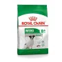 mangime Royal Canin Mini Adult 8+ Anziano Riso Vegetale Uccelli 8 kg di Royal Canin, Secco - Rif: S9105362, Prezzo: 55,62 €, ...