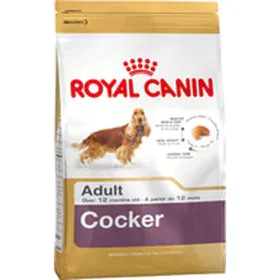 Fodder Royal Canin Cocker Adult Adult Chicken Rice Corn Birds 12 kg by Royal Canin, Dry - Ref: S9105365, Price: 78,24 €, Disc...