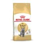 Cat food Royal Canin British Shorthair Adult Adult 10 kg by Royal Canin, Dry - Ref: S9105368, Price: 101,37 €, Discount: %