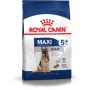 mangime Royal Canin Maxi Adult 5+ Adulto Pollo Riso Uccelli 15 kg di Royal Canin, Secco - Rif: S9105369, Prezzo: 99,53 €, Sco...