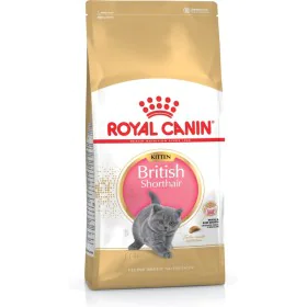 Aliments pour chat Royal Canin British Shorthair Kitten Poulet Riz Légumes Oiseaux 2 Kg de Royal Canin, Sèche - Réf : S910537...