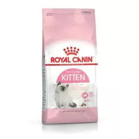 Comida para gato Royal Canin Kitten Aves 4 Kg de Royal Canin, Seca - Ref: S9105373, Precio: 50,31 €, Descuento: %