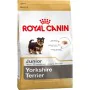 Nourriture Royal Canin Yorkshire Terrier Junior Petit/Junior Poulet Viande Riz Oiseaux 1,5 Kg de Royal Canin, Sèche - Réf : S...