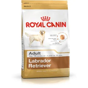 Nourriture Royal Canin Labrador Retriever Adult Adulte Poulet Riz Oiseaux 12 kg de Royal Canin, Sèche - Réf : S9105433, Prix ...