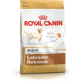 Fodder Royal Canin Labrador Retriever Adult Adult Chicken Rice Birds 12 kg by Royal Canin, Dry - Ref: S9105433, Price: 64,52 ...