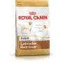 Fodder Royal Canin Labrador Retriever Adult Adult Chicken Rice Birds 12 kg by Royal Canin, Dry - Ref: S9105433, Price: 63,73 ...