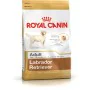 Fodder Royal Canin Labrador Retriever Adult Adult Chicken Rice Birds 12 kg by Royal Canin, Dry - Ref: S9105433, Price: 63,73 ...