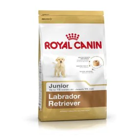 Nourriture Royal Canin Labrador Retriever Junior Petit/Junior Poulet Riz Maïs Oiseaux 12 kg de Royal Canin, Sèche - Réf : S91...