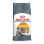 Aliments pour chat Royal Canin Hair & Skin Care Adulte Poulet 10 kg de Royal Canin, Sèche - Réf : S9105481, Prix : 128,02 €, ...