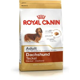 Nourriture Royal Canin Dachshund Adult Adulte Poulet Riz Oiseaux 1,5 Kg de Royal Canin, Sèche - Réf : S9105487, Prix : 17,68 ...