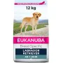 penso Eukanuba Adulto Frango Peru 12 kg de Eukanuba, Seca - Ref: S9105545, Preço: 48,80 €, Desconto: %