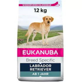 Futter Eukanuba Erwachsener Huhn Truthahn 12 kg von Eukanuba, Trocken - Ref: S9105545, Preis: 48,80 €, Rabatt: %