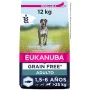 Pienso Eukanuba Adulto Pescado 12 kg de Eukanuba, Seca - Ref: S9108844, Precio: 57,70 €, Descuento: %