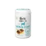 Supplément Alimentaire Brit Skin&Coat 150 g de Brit, Suppléments et vitamines - Réf : S9109339, Prix : 13,08 €, Remise : %