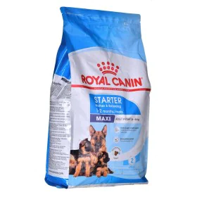 Fodder Royal Canin Maxi Starter Mother & Babydo Birds 4 Kg by Royal Canin, Dry - Ref: S9109340, Price: 38,21 €, Discount: %