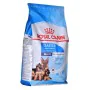 Fodder Royal Canin Maxi Starter Mother & Babydo Birds 4 Kg by Royal Canin, Dry - Ref: S9109340, Price: 38,71 €, Discount: %