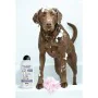 Champô para animais de estimação Wahl 3999-7010 750 ml Branco de Wahl, Champôs e amaciadores - Ref: S9109360, Preço: 17,81 €,...