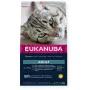 Comida para gato Eukanuba Adult Chicken Frango 2 Kg de Eukanuba, Seca - Ref: S91099127, Preço: 17,15 €, Desconto: %