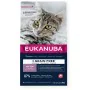 Aliments pour chat Eukanuba Grain Free Kitten Salmon Poisson 2 Kg de Eukanuba, Sèche - Réf : S91099136, Prix : 17,76 €, Remis...